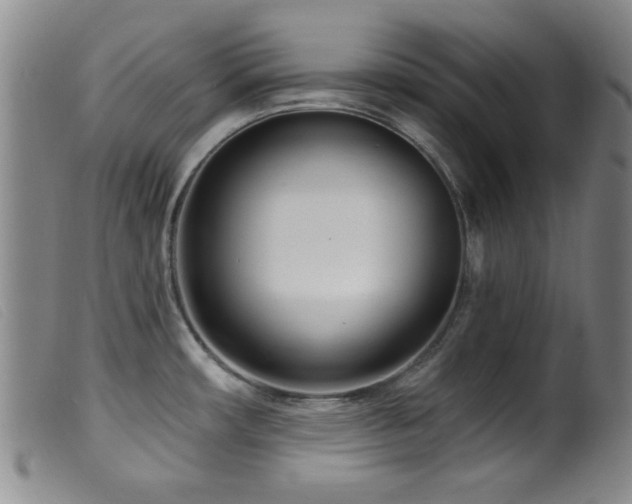 X0000099541482200805161416