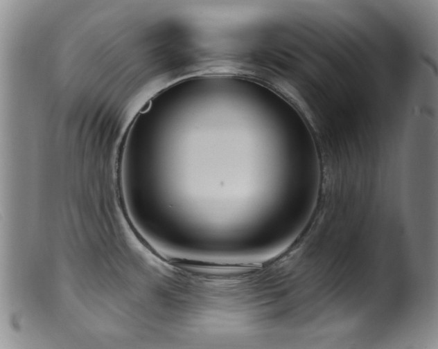 X0000099541483200805161416
