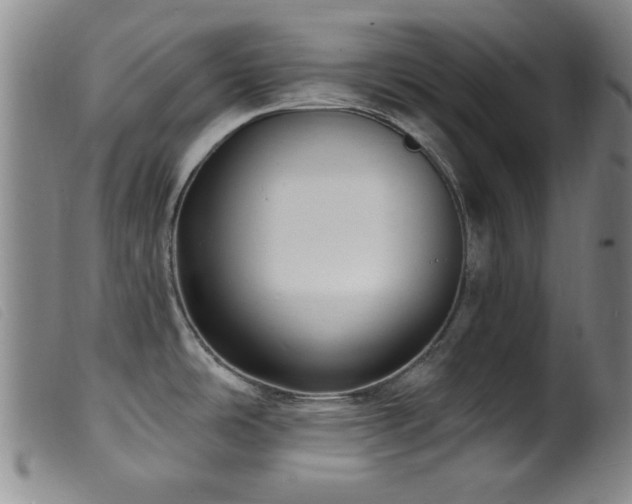 X0000099541486200805161416