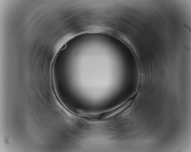 X0000099541487200805161416