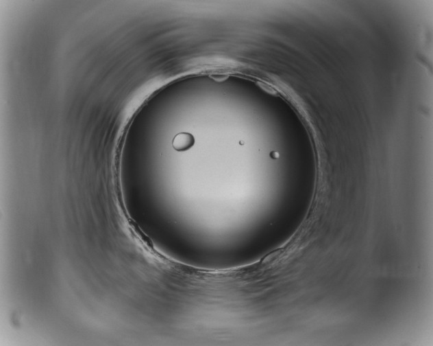 X0000099541488200805161416