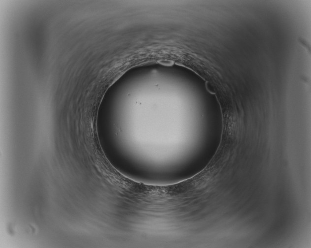 X0000099541489200805161415