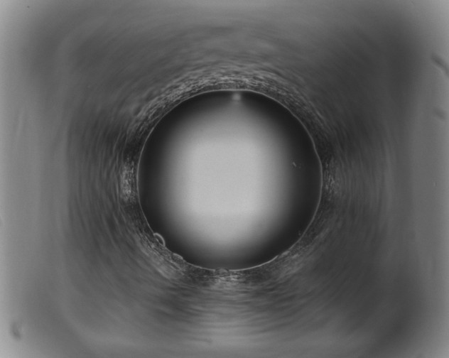 X0000099541490200805161415
