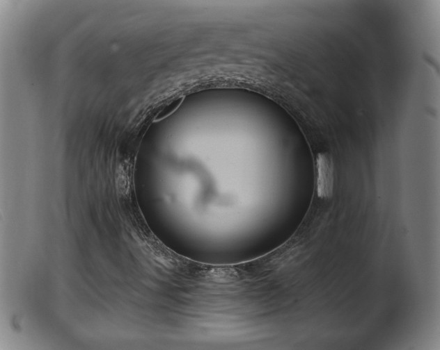 X0000099541491200805161415