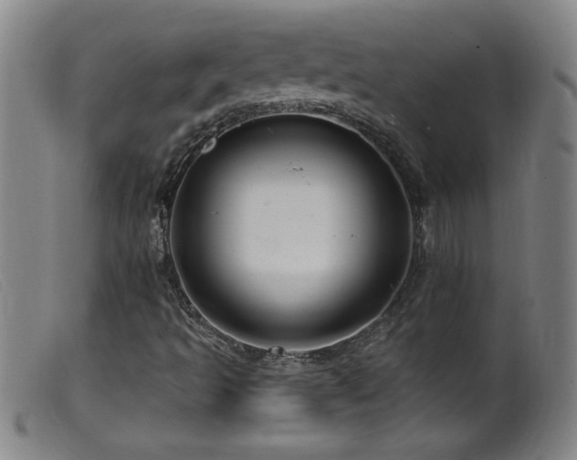 X0000099541493200805161415