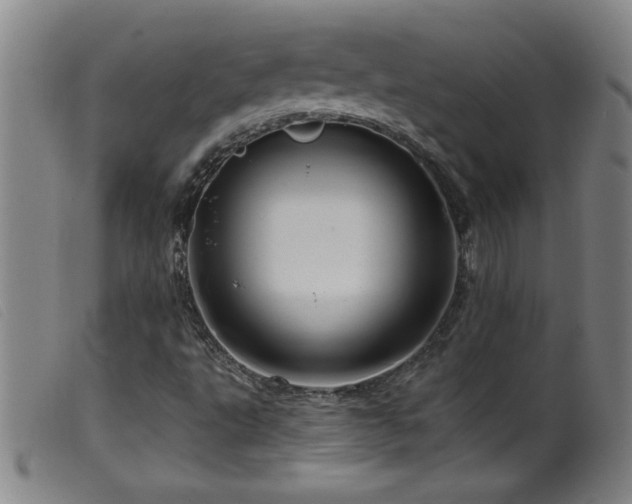 X0000099541495200805161415