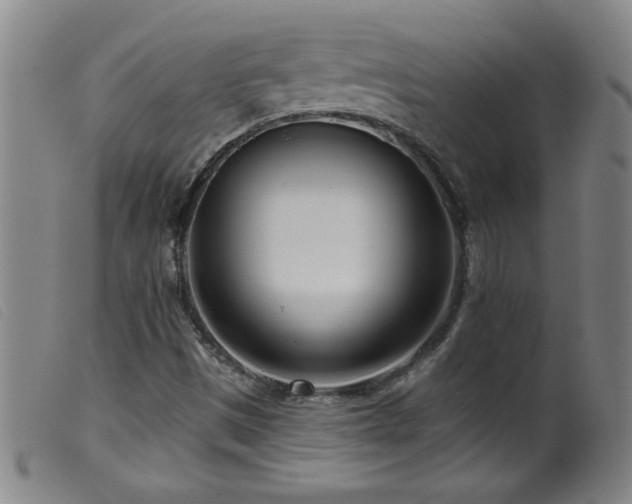X0000099541497200805161415