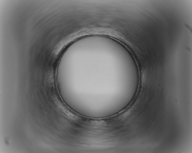 X0000099541498200805161415