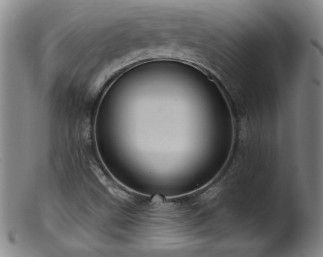 X0000099541499200805161415