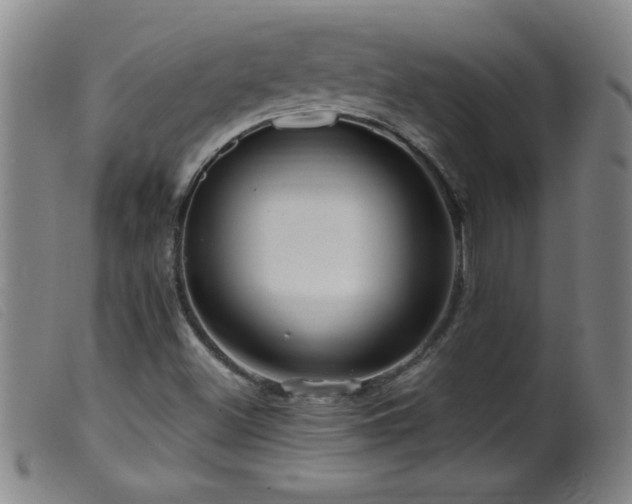 X0000099541500200805161415