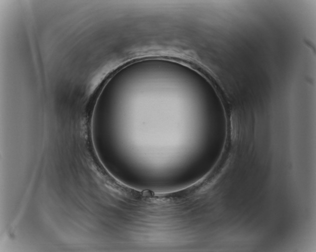 X0000099541501200805161415