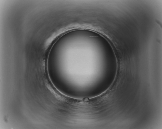 X0000099541503200805161415