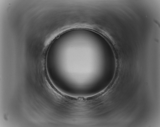 X0000099541504200805161415