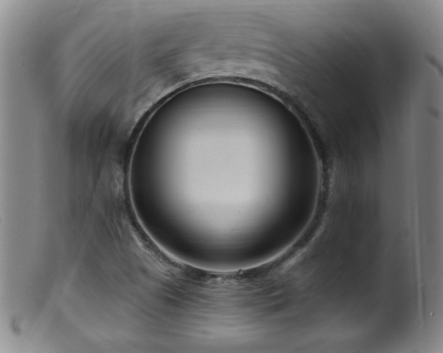 X0000099541505200805161415