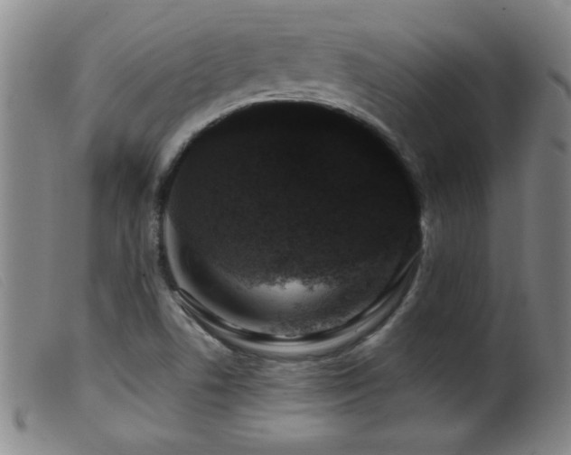 X0000099541506200805161415
