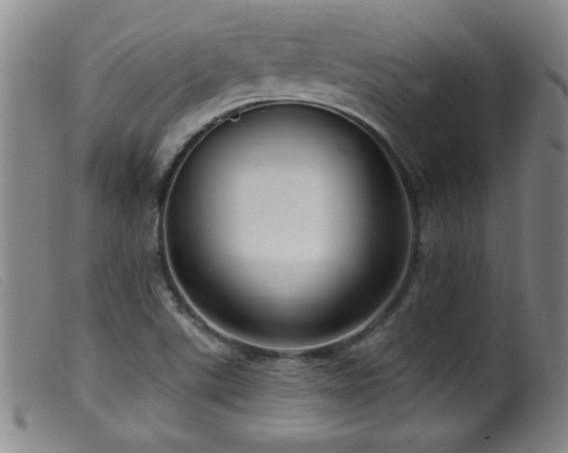 X0000099541507200805161415