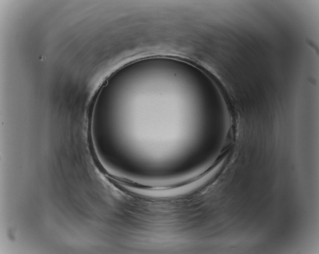 X0000099541508200805161415