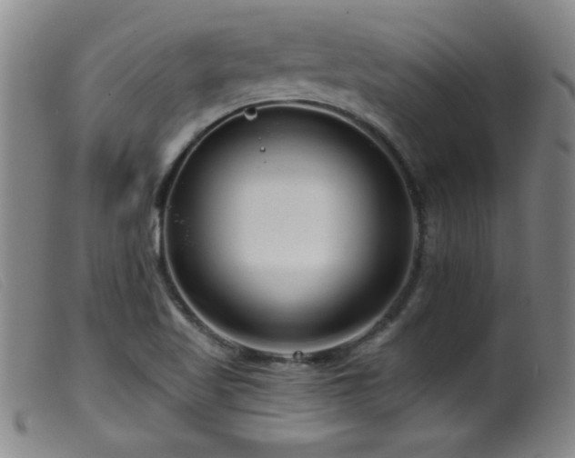 X0000099541509200805161415
