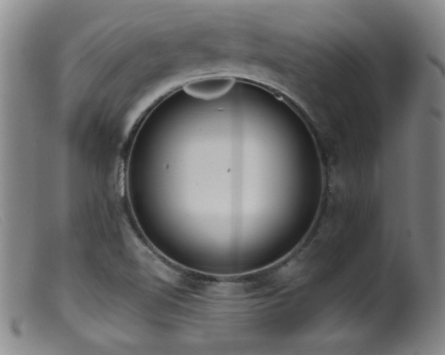 X0000099541510200805161415