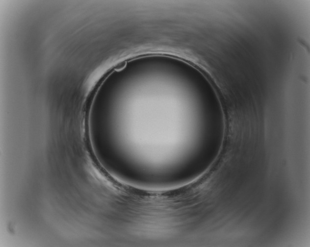 X0000099541511200805161415
