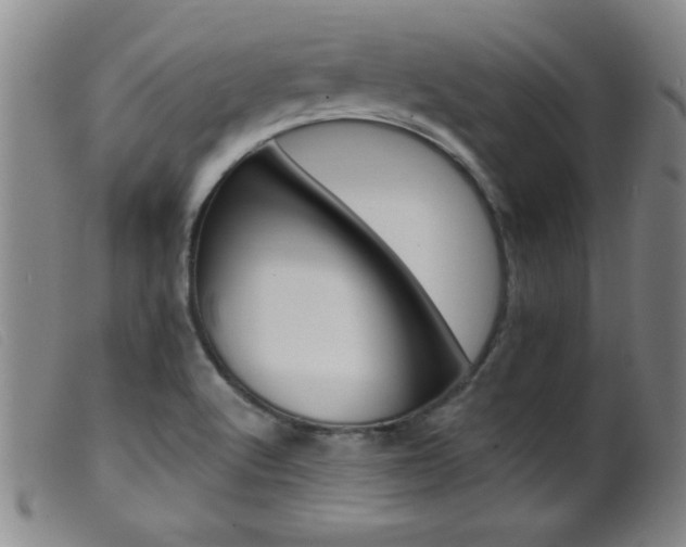 X0000099541512200805161415