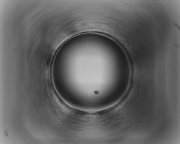 X0000099541513200805161415