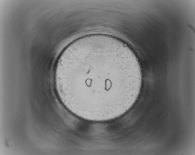 X0000099541514200805161415