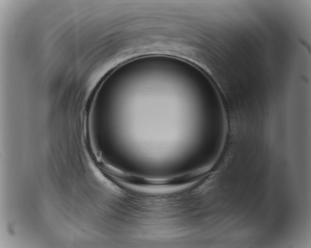 X0000099541515200805161415