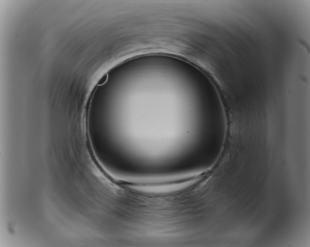 X0000099541516200805161415
