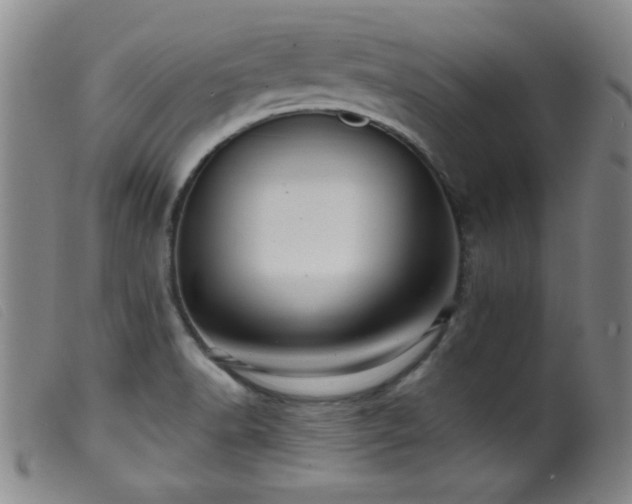 X0000099541518200805161415