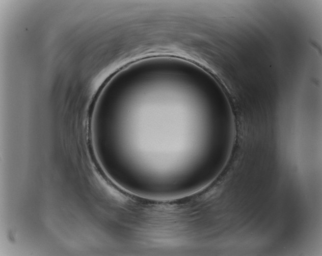 X0000099541519200805161415