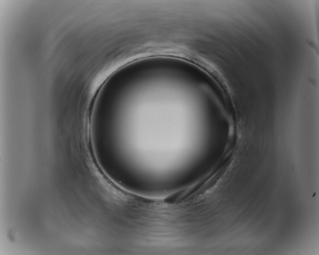 X0000099541520200805161415