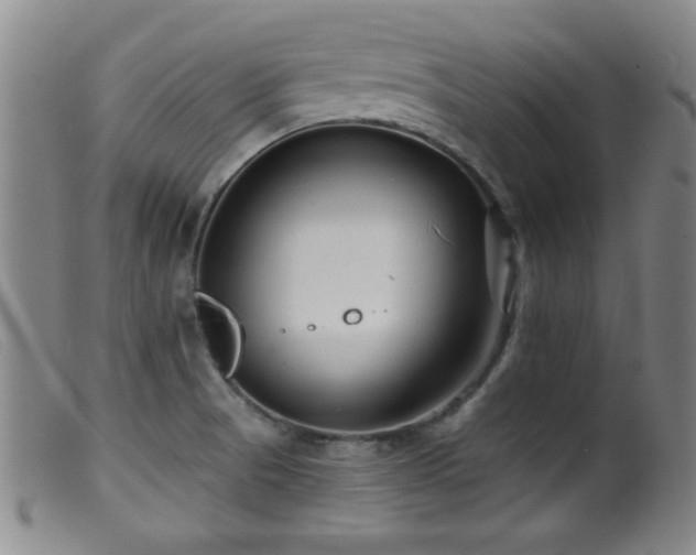 X0000099541521200805161415
