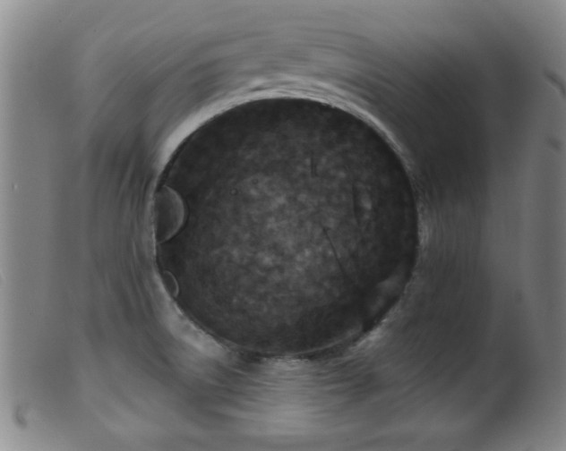 X0000099541522200805161415