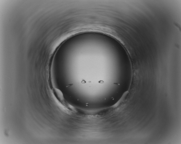 X0000099541523200805161415