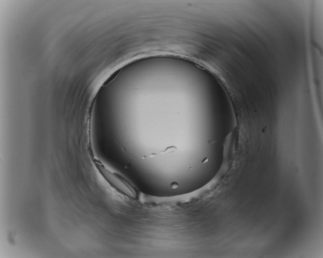 X0000099541524200805161415