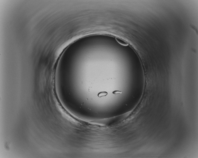 X0000099541526200805161415