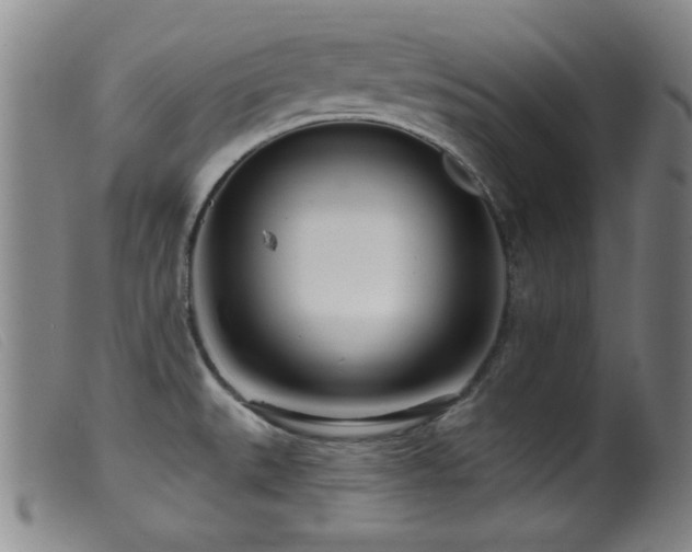 X0000099541527200805161415