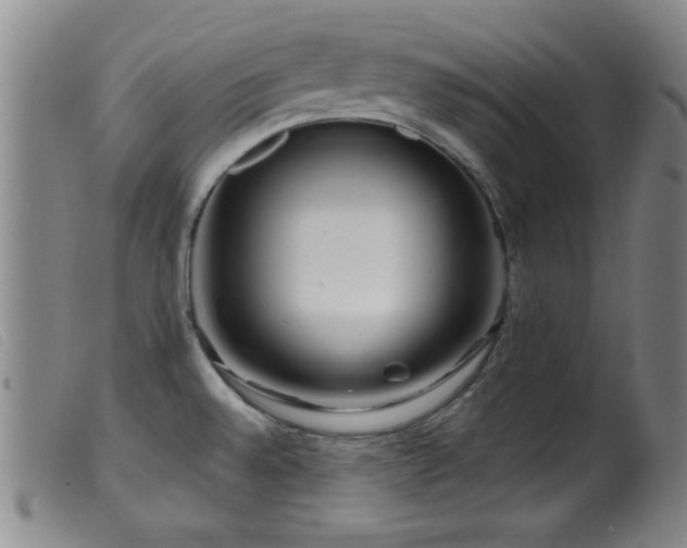 X0000099541528200805161415