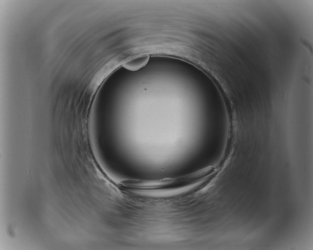 X0000099541529200805161415