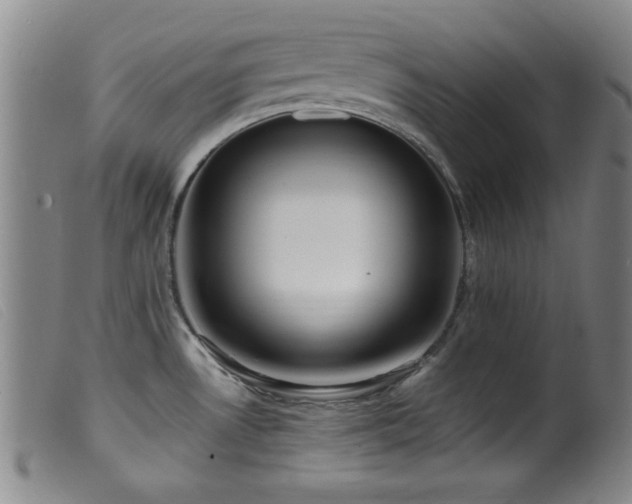 X0000099541530200805161415