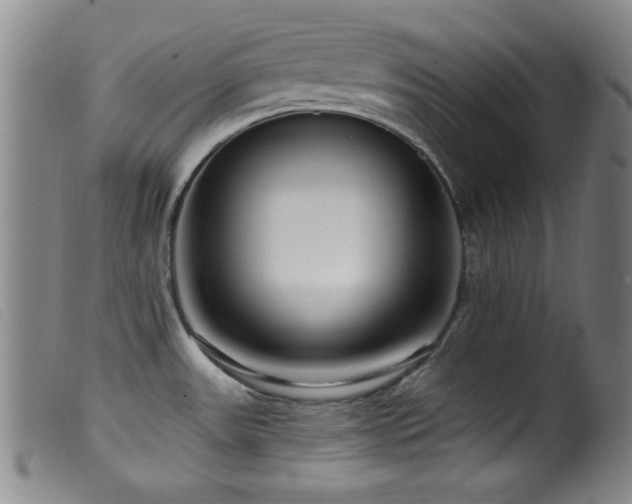 X0000099541531200805161415