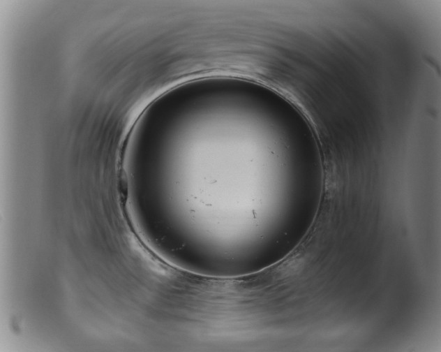 X0000099541532200805161415