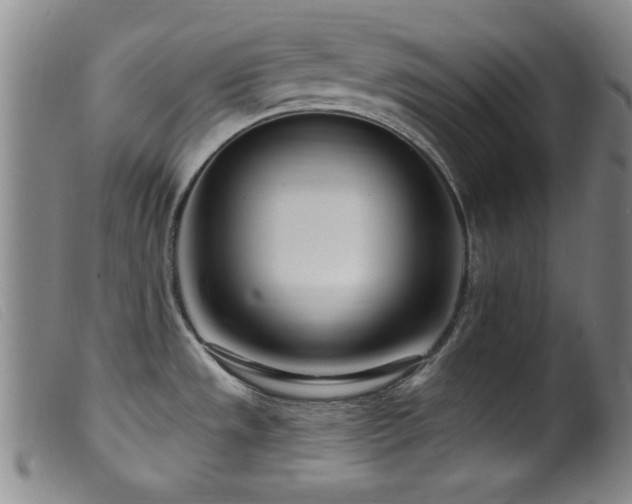 X0000099541533200805161415