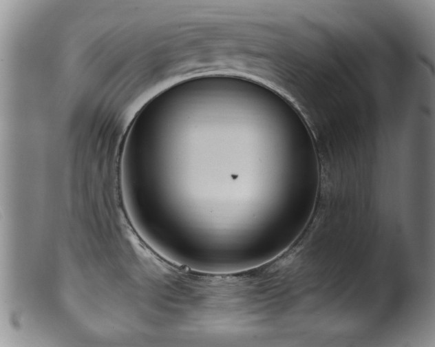 X0000099541534200805161415