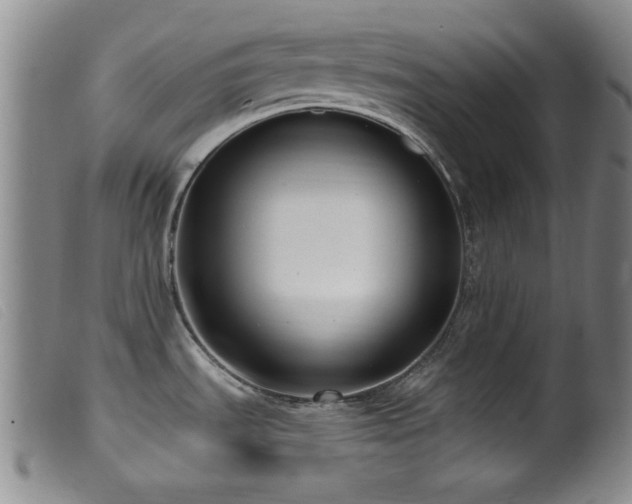 X0000099541535200805161415