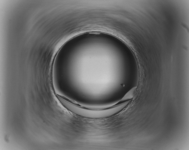 X0000099541536200805161416