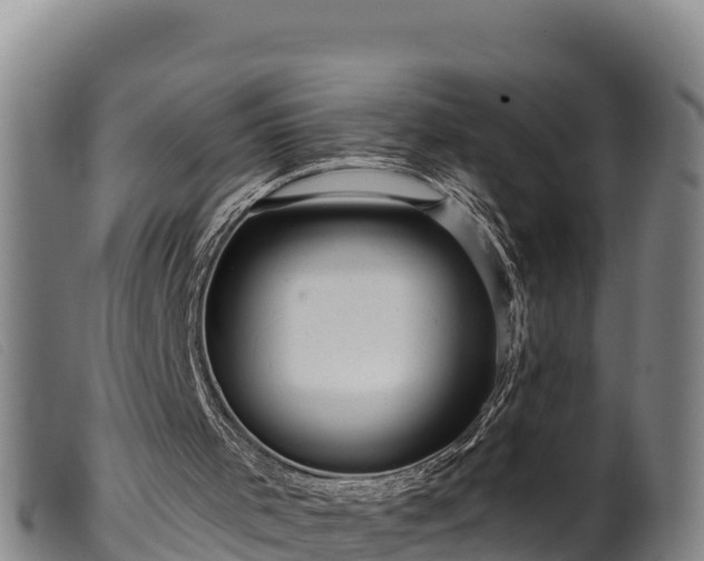 X0000099540001200805231138