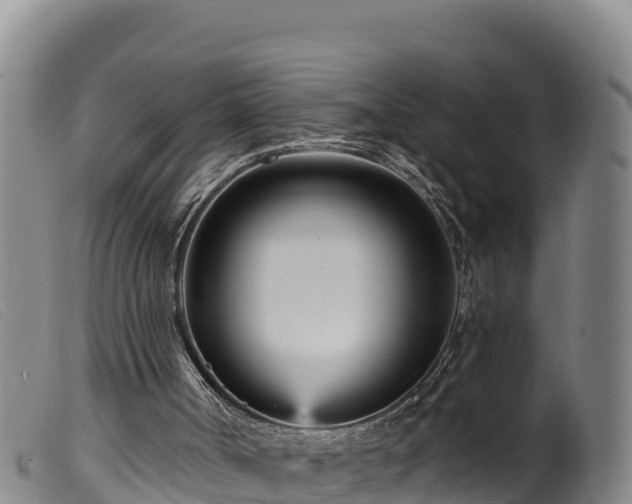 X0000099540002200805231138