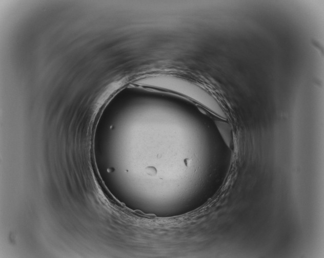 X0000099540003200805231138